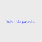 Agence immobiliere soleil du paradis